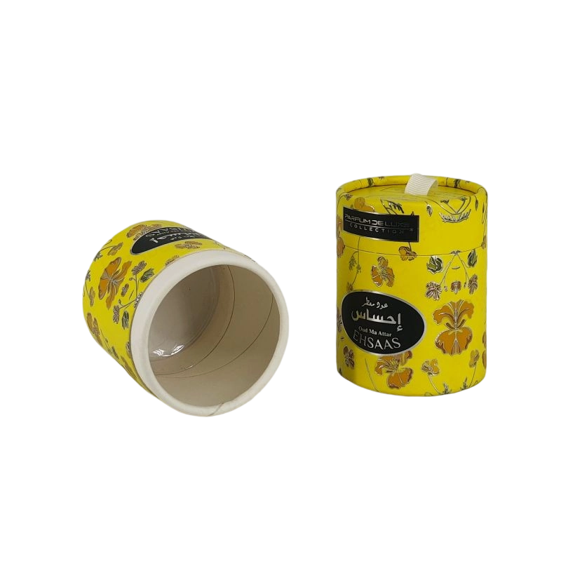 Boîtes à tube en papier robustes et recyclables pour la livraison sûre et les affichages de vente au détail accrocheurs HT007